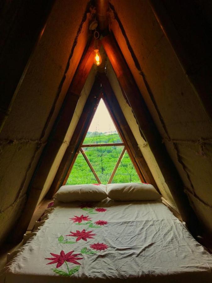 La Luna Cabins نوفارا إيلِيا المظهر الخارجي الصورة